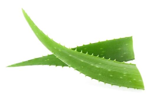 Zxcvbnmqwert contains aloe vera