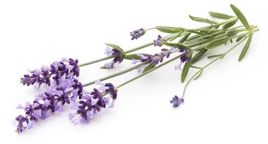 Zxcvbnmqwert contains lavender oil